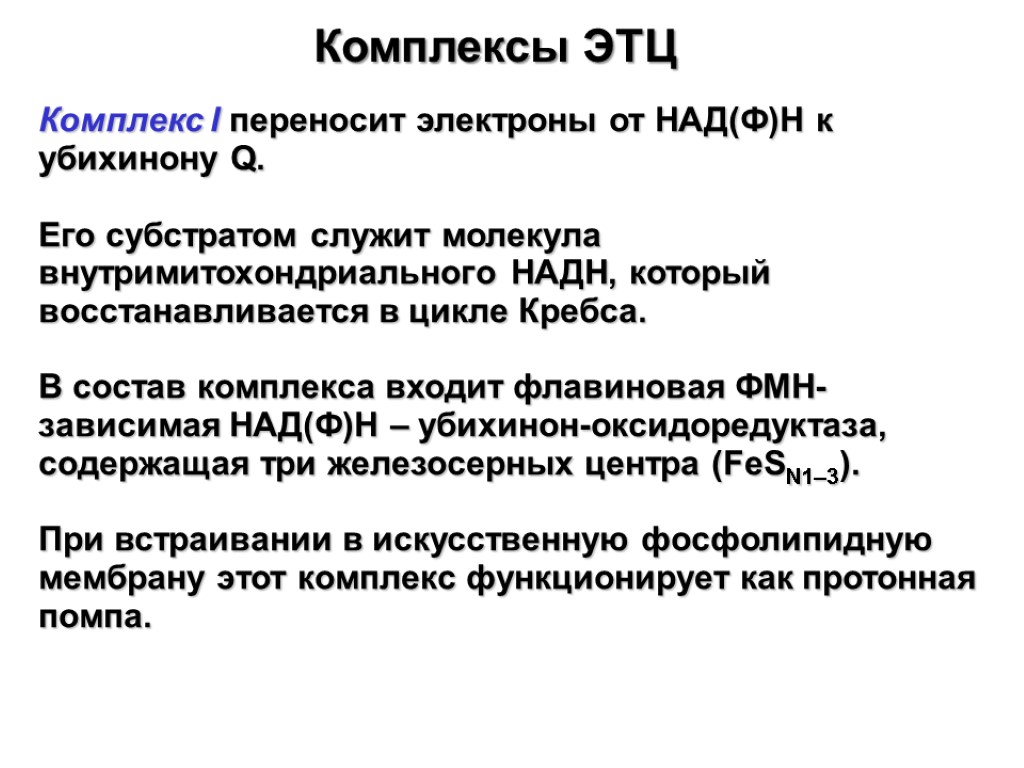 Комплексы ЭТЦ Комплекс I переносит электроны от НАД(Ф)Н к убихинону Q. Его субстратом служит